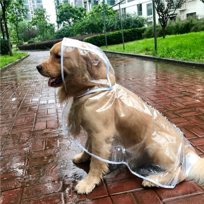 Transparent Reflective Waterproof Dog Raincoat