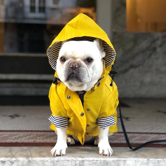 Tide Brand Retro Padded Dog Raincoat Jacket